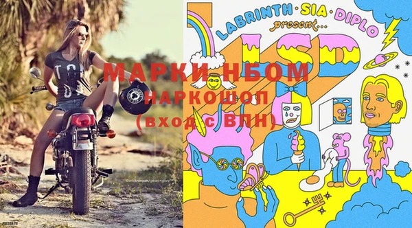 дурь Дмитровск