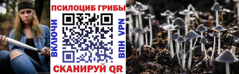 Галлюциногенные грибы GOLDEN TEACHER  Магнитогорск 
